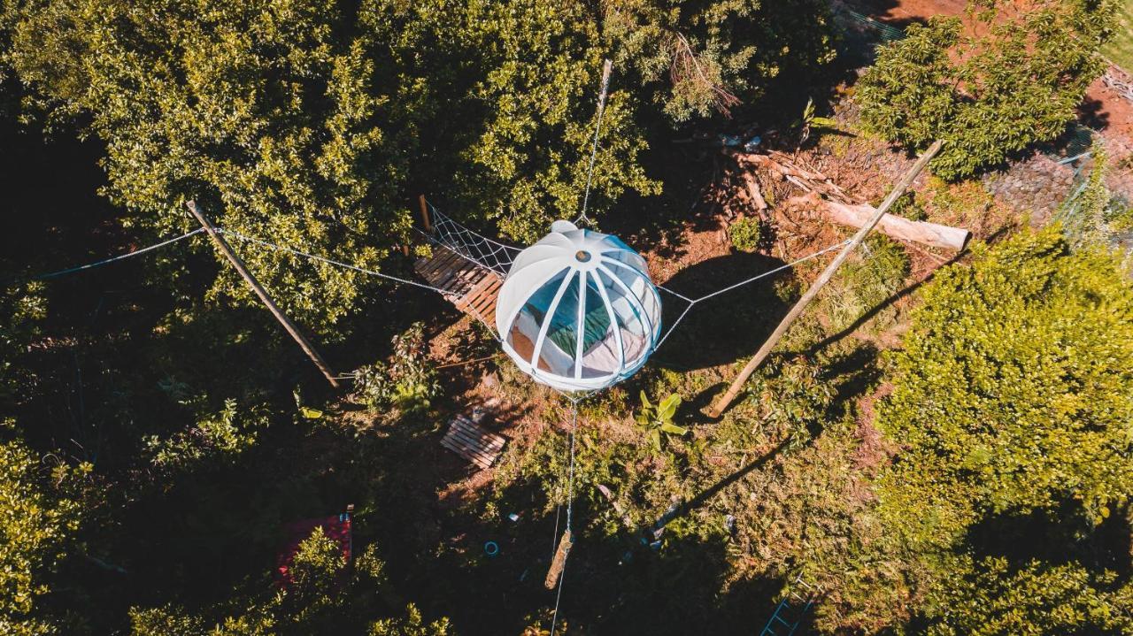 Quinta Do Abacate - Glamping Park Villa Angra do Heroísmo Eksteriør bilde