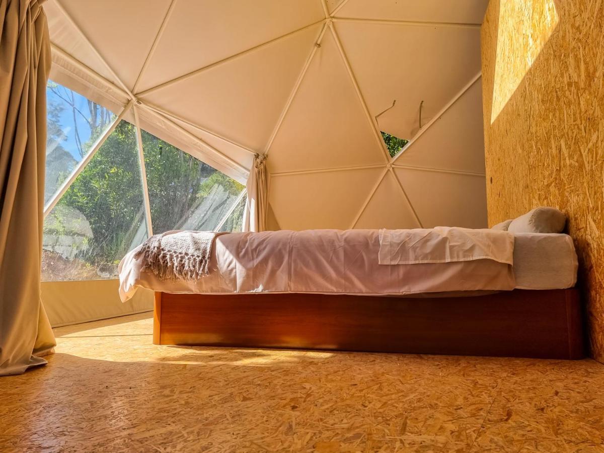 Quinta Do Abacate - Glamping Park Villa Angra do Heroísmo Eksteriør bilde